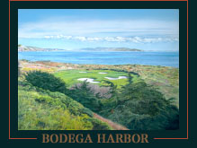 Bodega Harbor