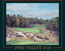 Pine Valley #18