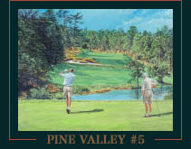 Pine Valley #5